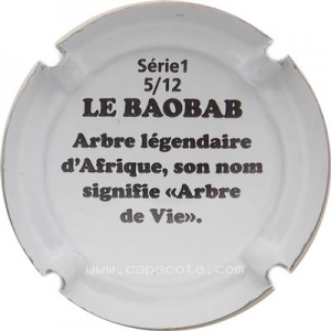 Capsule Le baobab 2