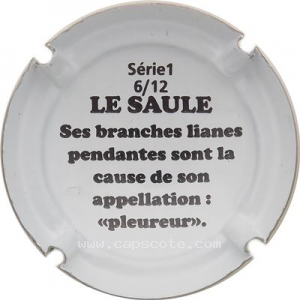 Capsule Le saule pleureur 2
