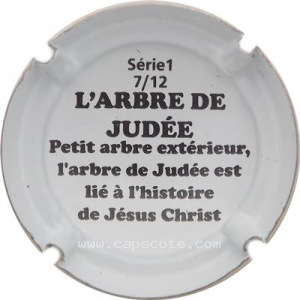Capsule L'arbre de Judée 2