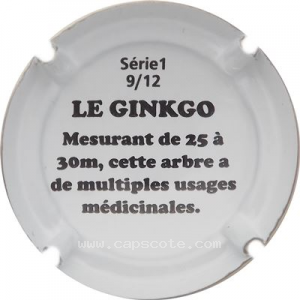 Capsule Le ginkgo 2