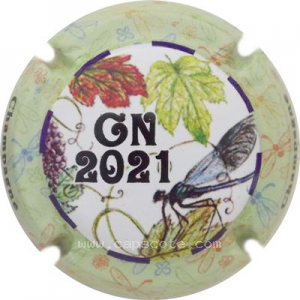 Capsule 2021, 4- GN. contour vert pâle