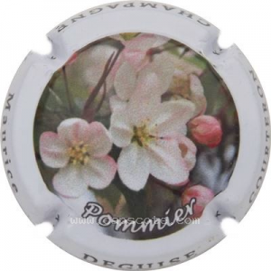 Capsule 2b- La fleur de pommier
