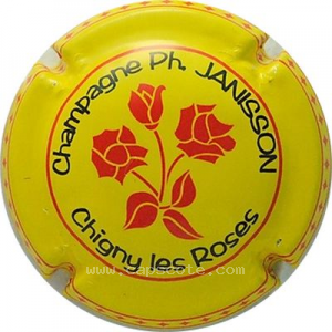Capsule Fond Jaune et noir, roses rouge