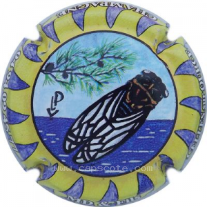 Capsule Contour jaune et bleu