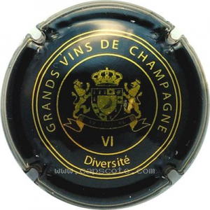 Capsule Noir et or - VI - Diversité