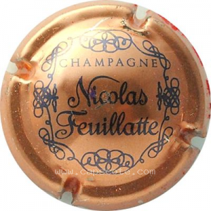 Capsule Cuivre foncé et bleu