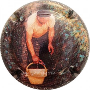 Capsule Vendange