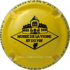 Capsule Jaune et noir