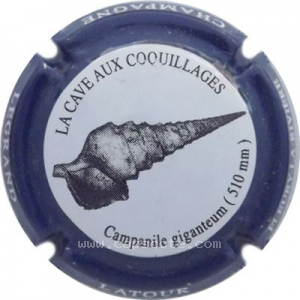 Capsule Contour bleu