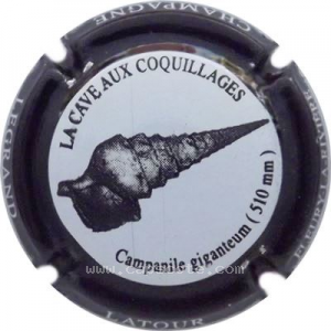 Capsule Contour noir