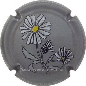 Capsule Gris