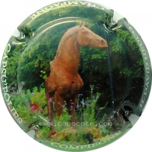 Capsule Compiègne, le cheval