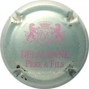 Capsule Argent et fuschia