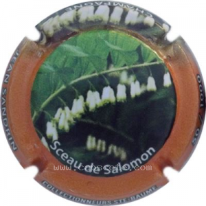 Capsule 2021, Sceau de Salomon