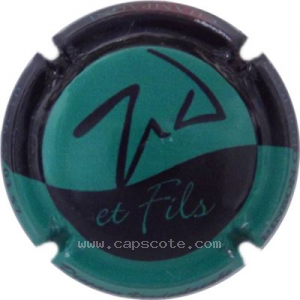 Capsule Vert et noir