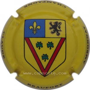 Capsule Fond jaune