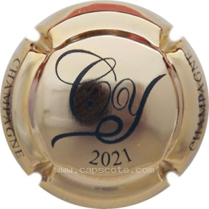 Capsule 2021, Plaque or, inscriptions bleues