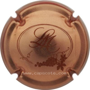 Capsule Cuivre et marron