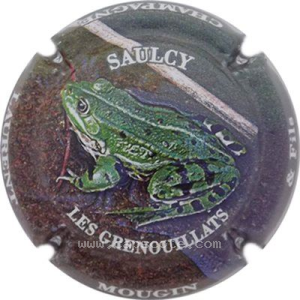 Capsule Polychrome, tête à gauche