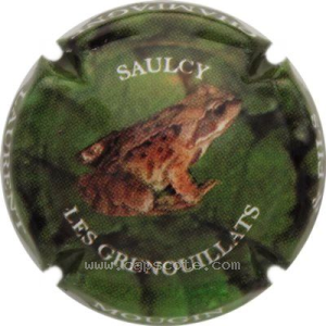 Capsule Polychrome, tête à droite
