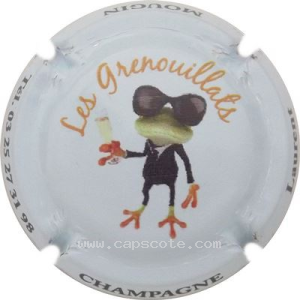 Capsule Grenouille de face, fond bleu pâle