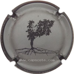 Capsule Argent, contour noir