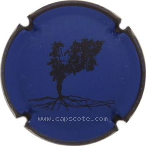 Capsule Bleu, contour noir