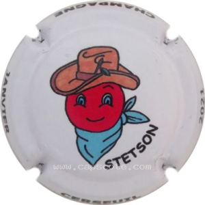 Capsule 1- Janvier, Stecson