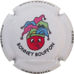 Capsule 2- Février, Bonnet bouffon