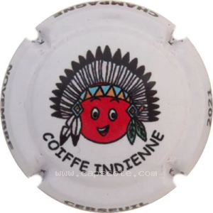 Capsule 11- Novembre, Coiffe indienne
