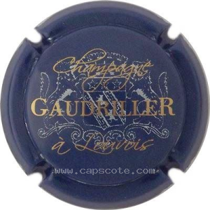 Capsule 1- Bleu, gris pâle et or