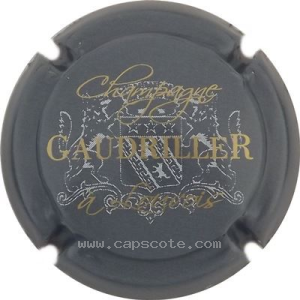 Capsule 1- Gris, gris pâle et or