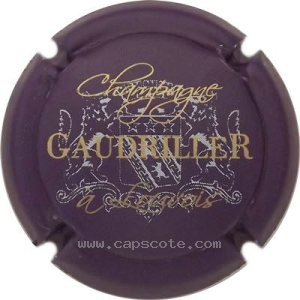 Capsule 1- Violet mat, gris pâle et or