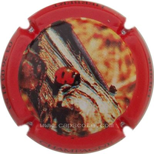 Capsule Contour orange