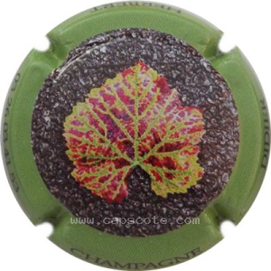 Capsule Contour vert