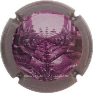 Capsule Contour gris