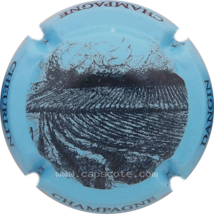 Capsule b- Vigne, bleu et noir