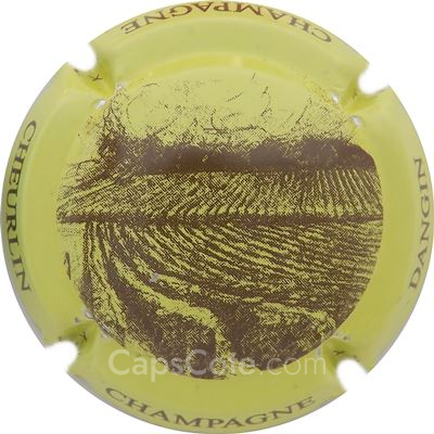 Capsule d- Vigne, jaune et marron