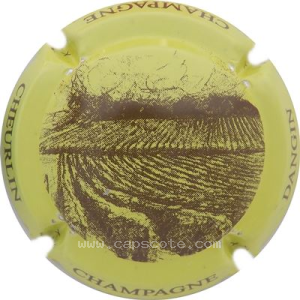 Capsule e- Vigne, Vert pomme et marron