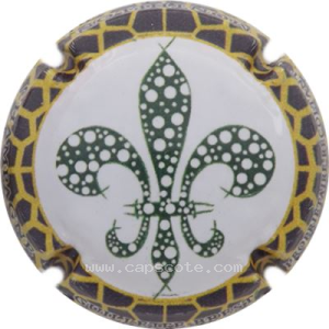 Capsule 8- Contour noir et jaune, Lys vert