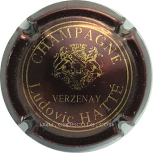 Capsule Bordeaux foncé et or