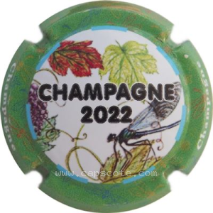 Capsule 2022, 6- Jéroboam, fond vert