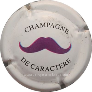 Capsule Moustache Violette