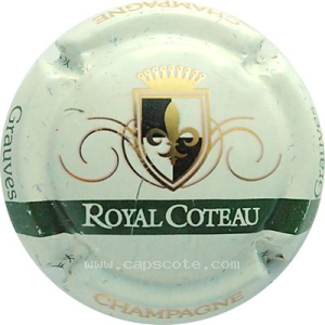Capsule Bannière verte