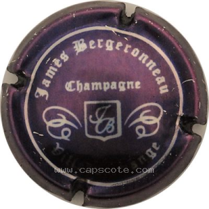 Capsule Violet métallisé et argent
