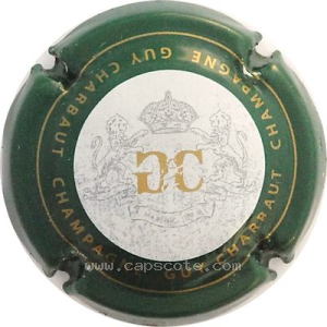 Capsule Contour vert
