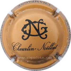 Capsule Bronze et noir