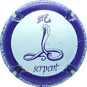 Capsule Serpent, contour bleu