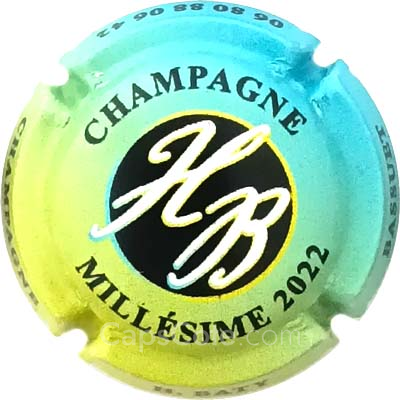 Capsule 2022, Bleu et vert-jaune, noir et blanc
