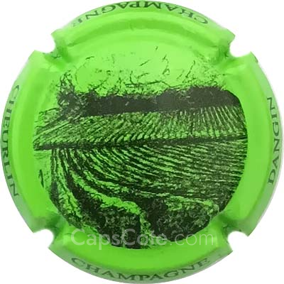 Capsule e- Vigne, Vert pomme et marron